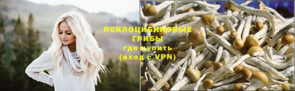 MDMA Premium VHQ Абинск